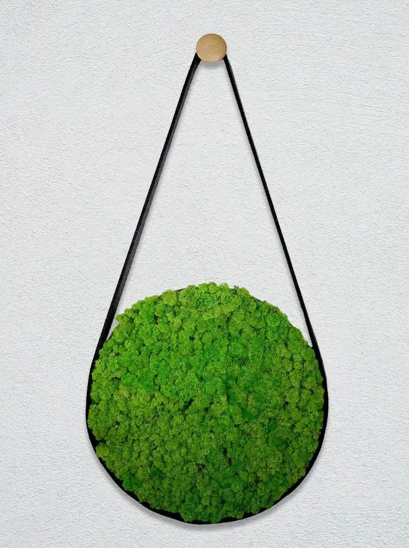 Hanging circular green moss decoration on wall