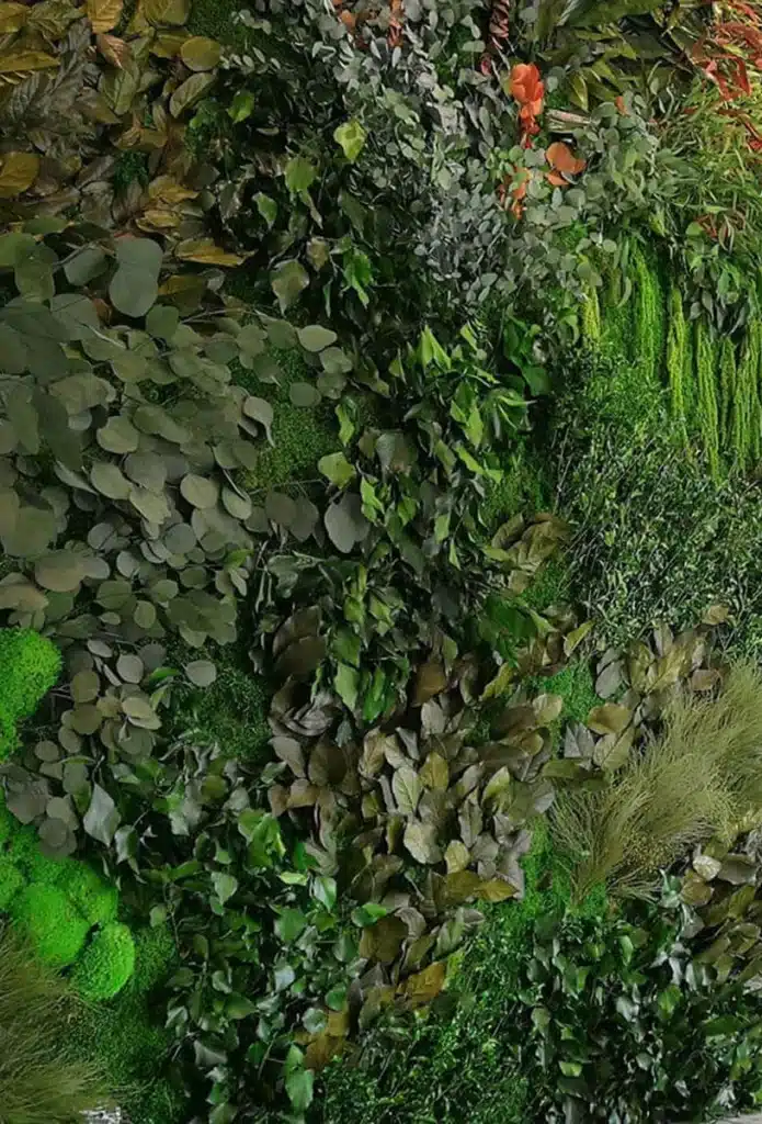 green wall, accoustic wall