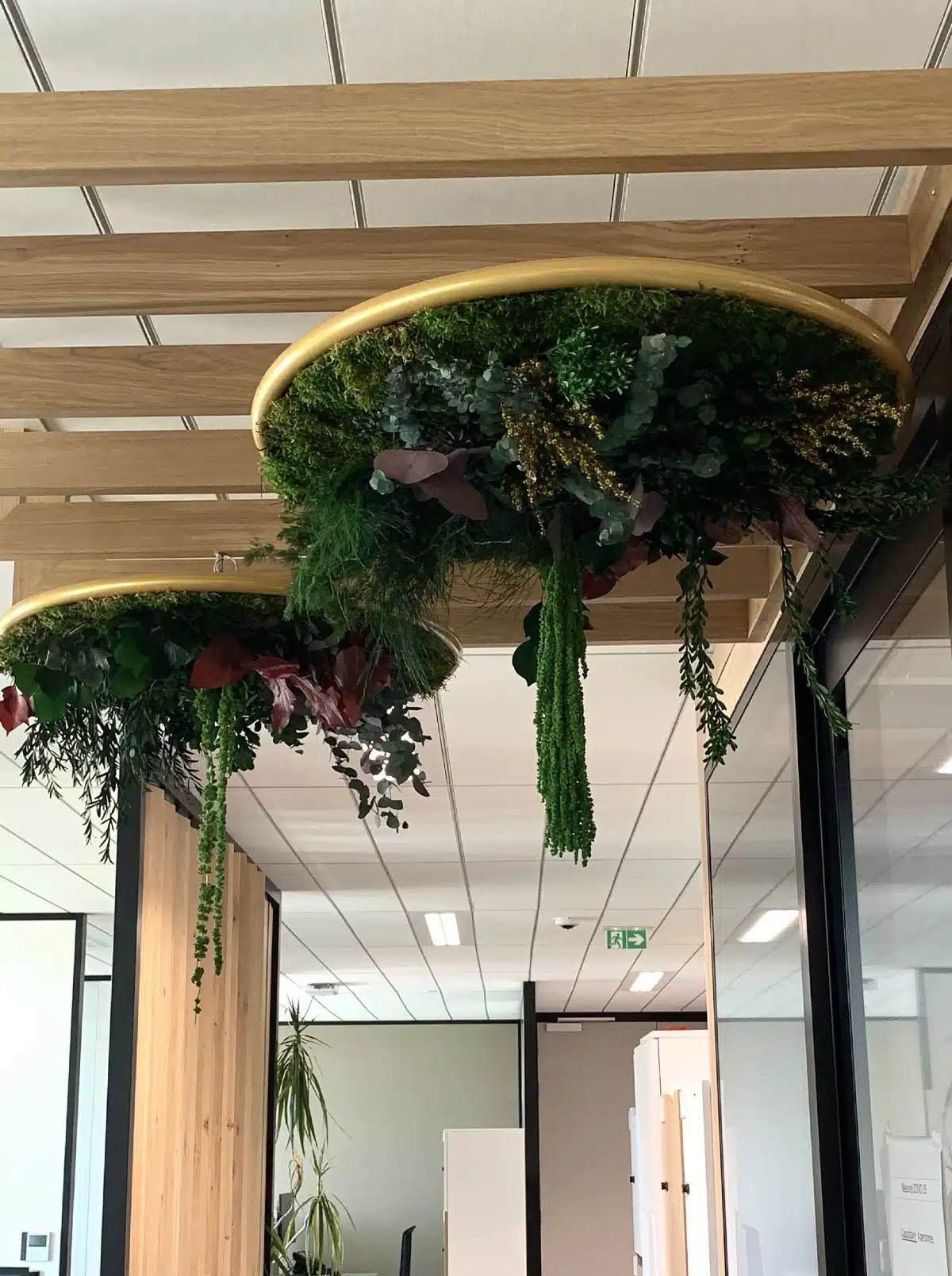 G-Circle,circular 3D panel,Acoustic panel,Wall fixture,suspension