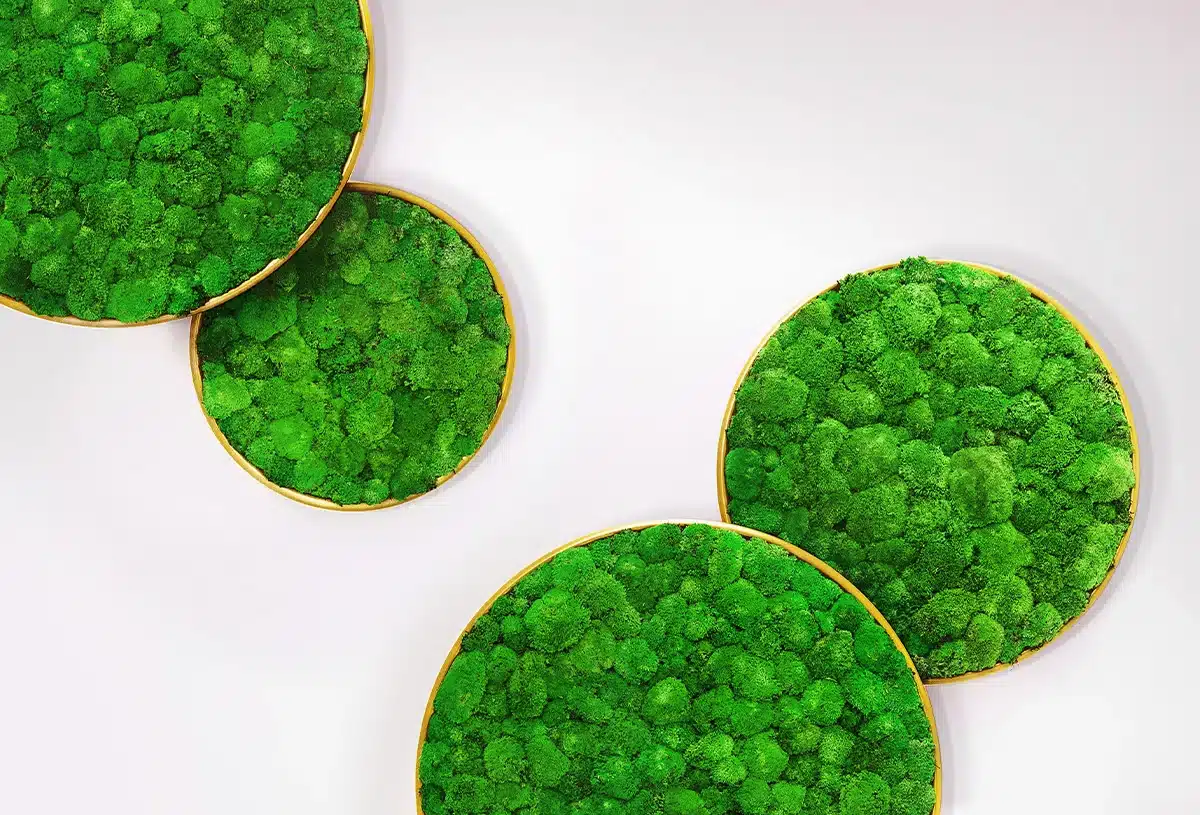 Greenmood_G-circle_product-2