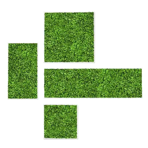 Green moss wall panels arranged in geometric shapes.