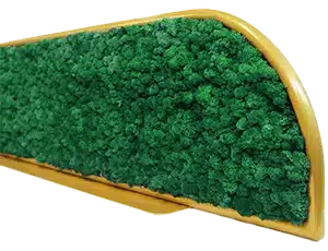 Green preserved moss wall in wooden frame