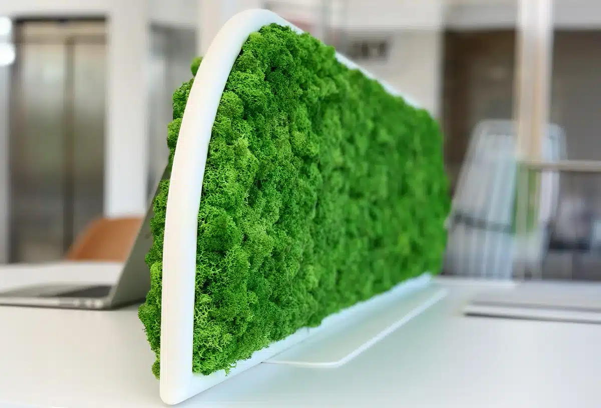 Green plant wall divider in modern office