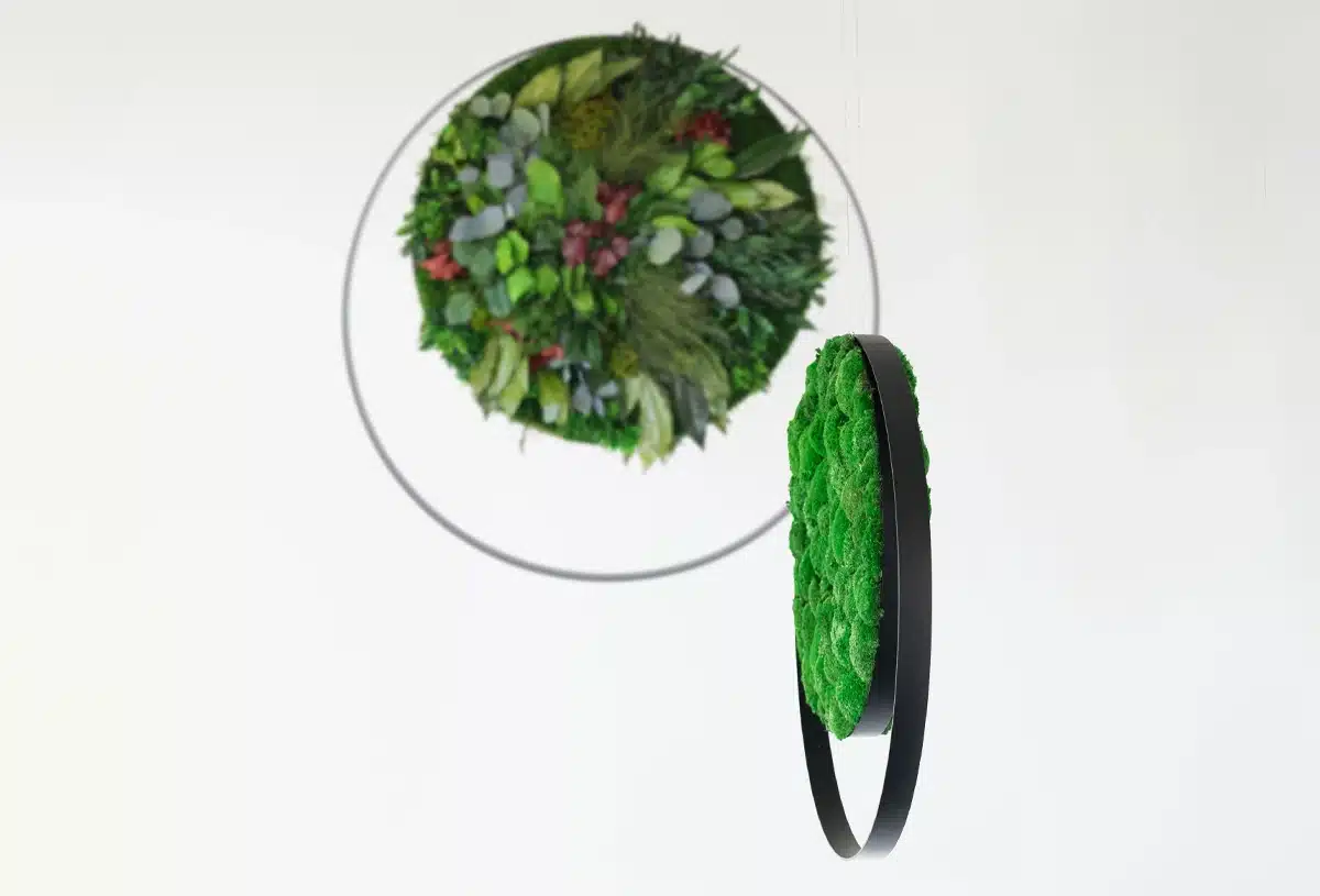 Green circular plant wall decor design