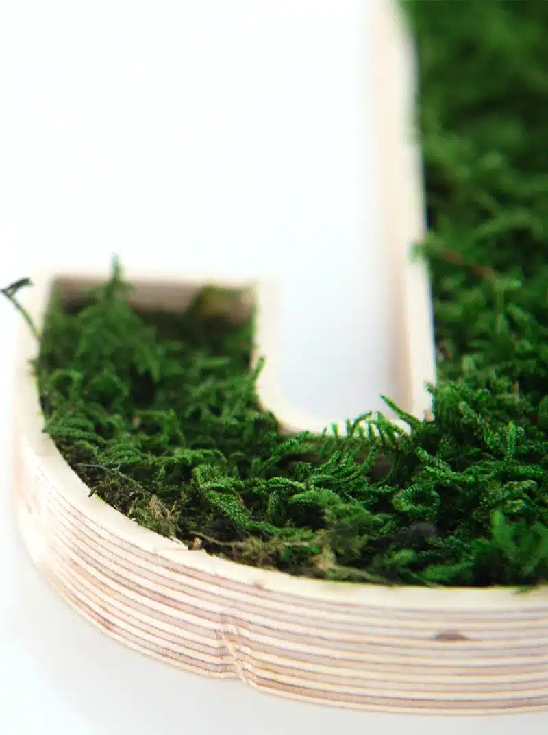 Wooden letter filled with green moss