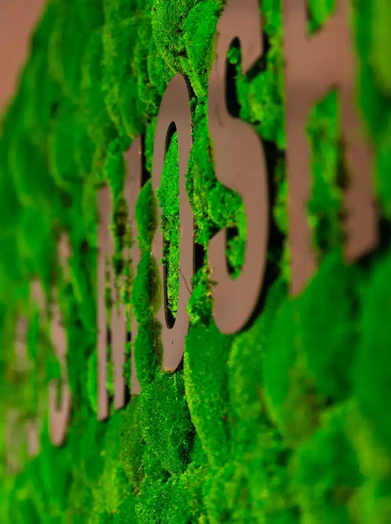 Wall with green moss and letters
