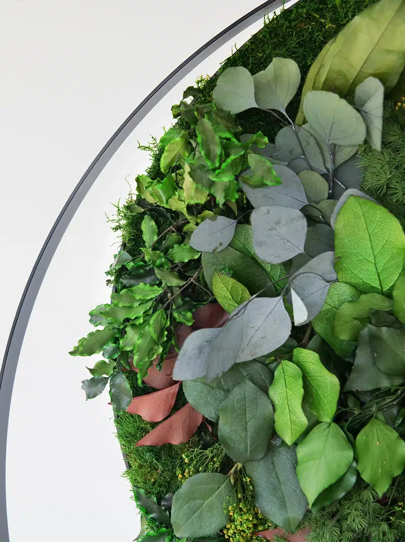 Close-up of lush green plants in circular arrangement.