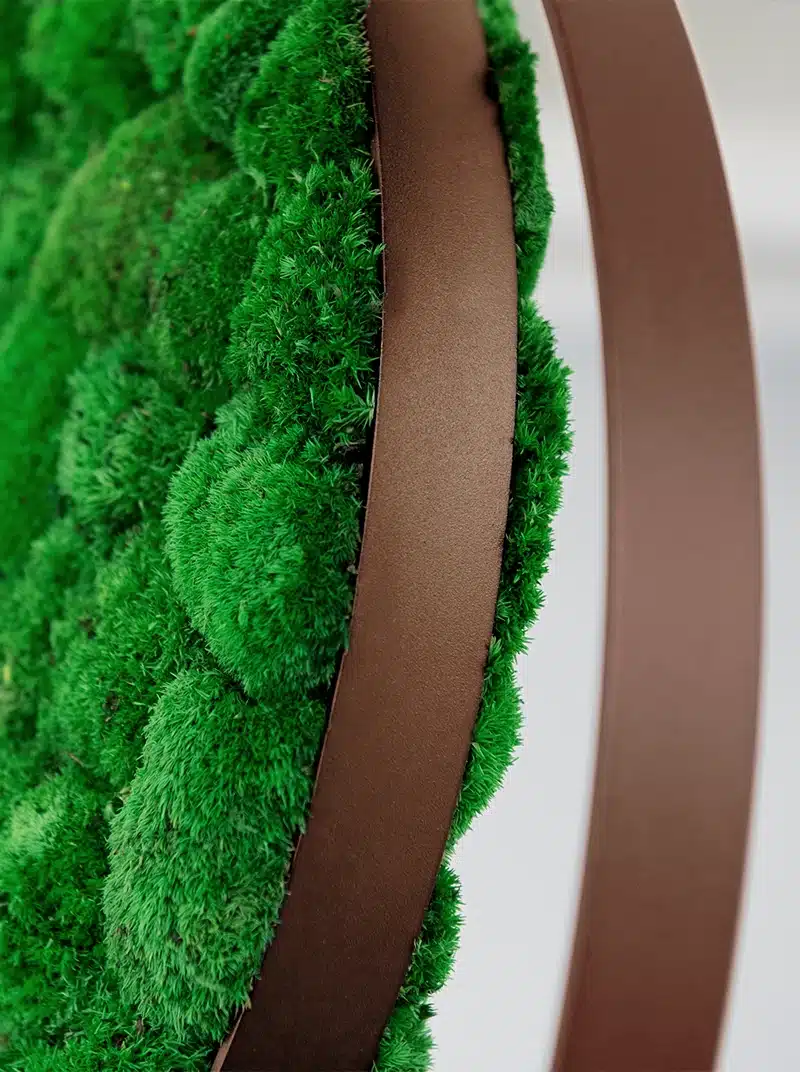 Close-up of green moss on circular sculpture.