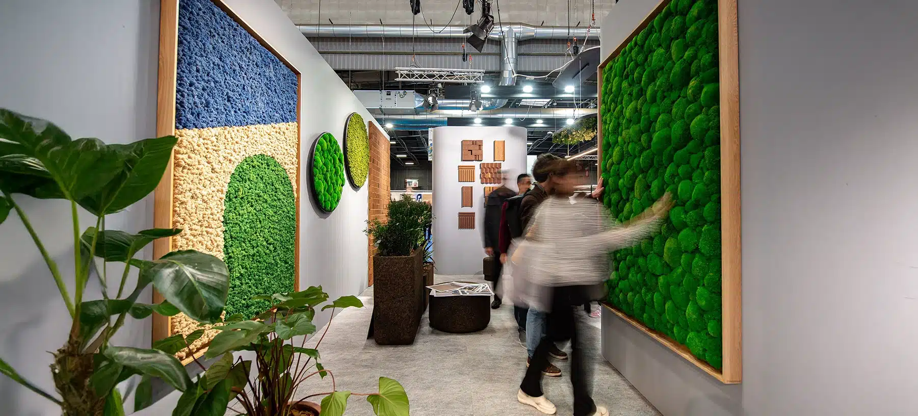 Indoor botanical art display with natural textures.