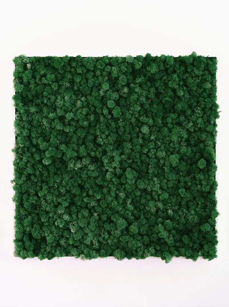 Square green moss wall decoration