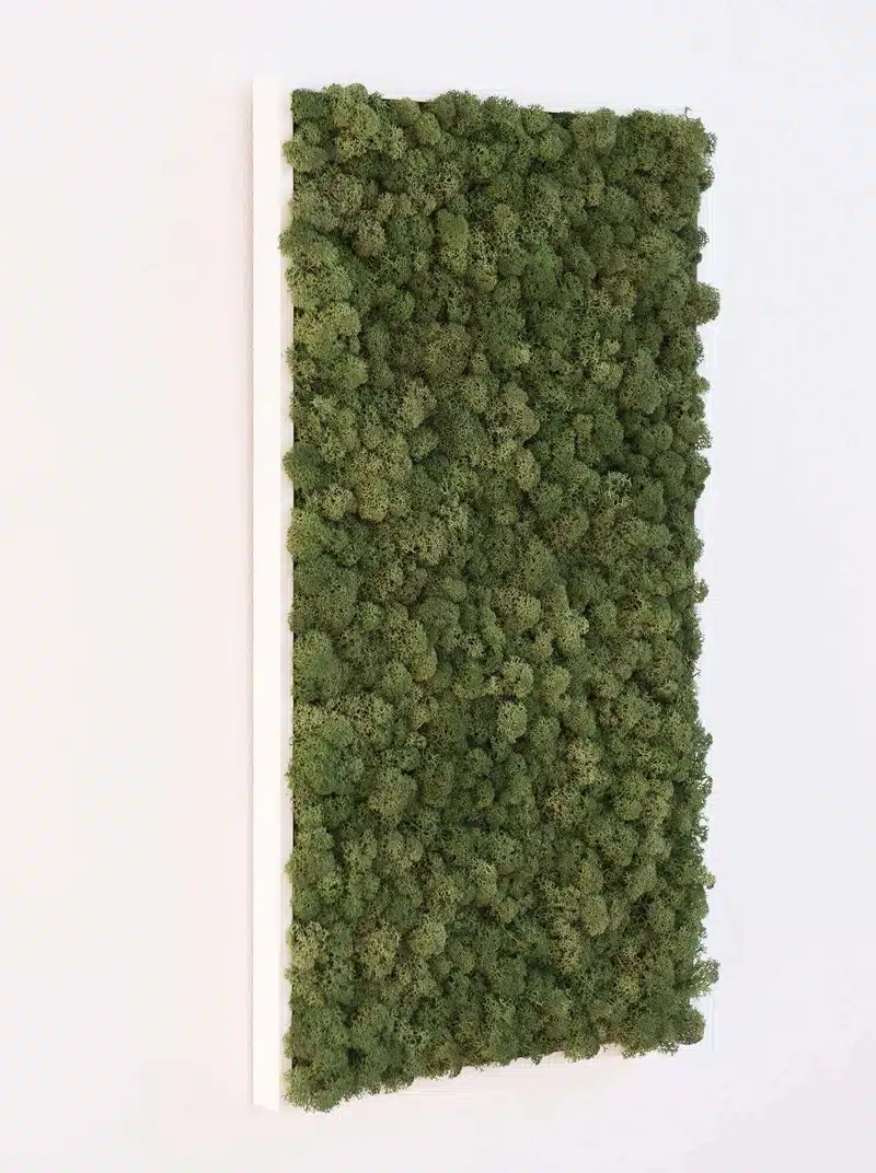 Vertical garden wall with green moss