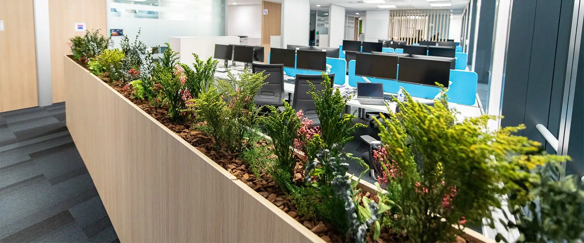 Tailored-planter-fillings_03