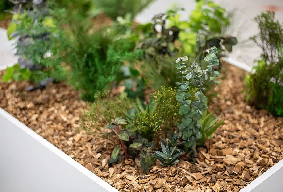 Tailored-planter-fillings_product_01
