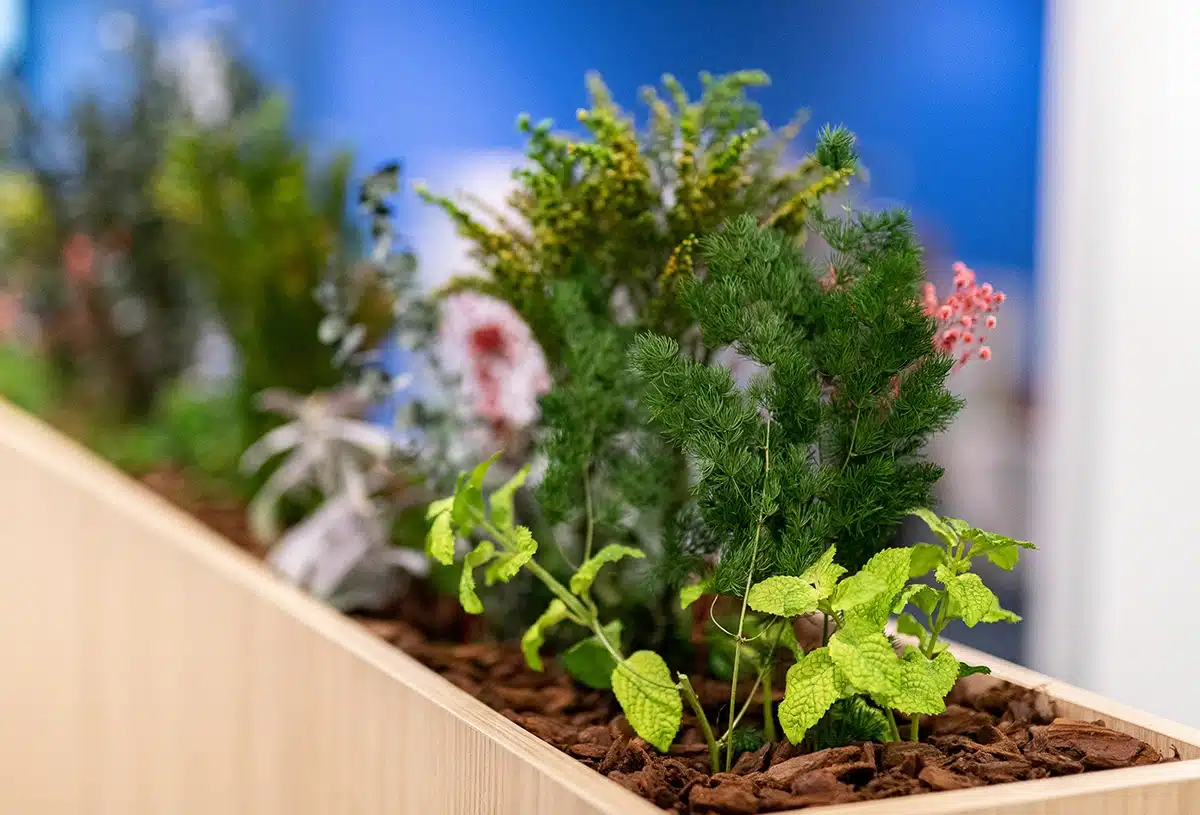 Tailored-planter-fillings_product_04