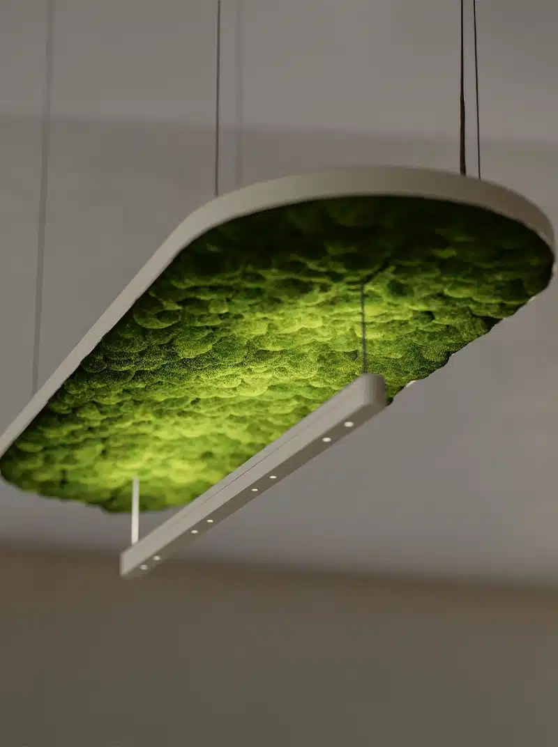 Modern ceiling light with moss, eco-friendly design.