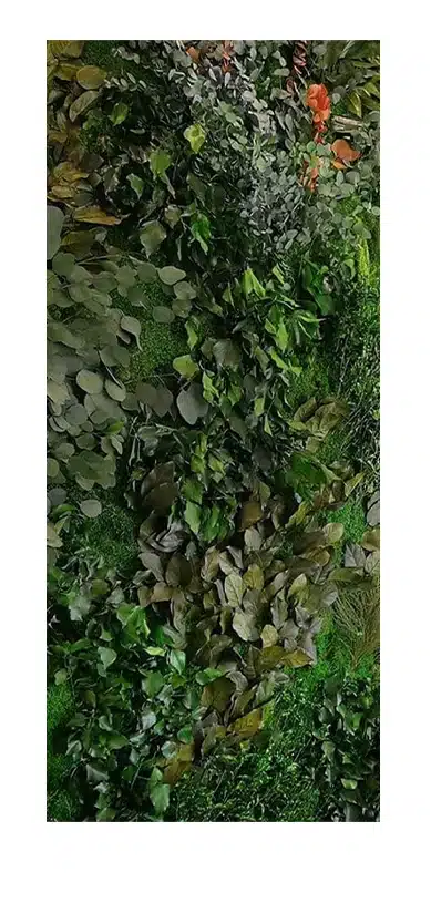 Vertical green wall with various leafy plants.